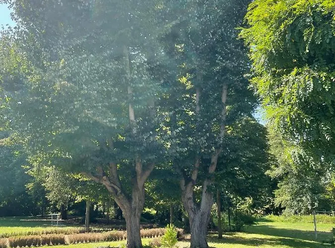 Internat Schloss Spiegelberg 3* Neustadt (Dosse)
