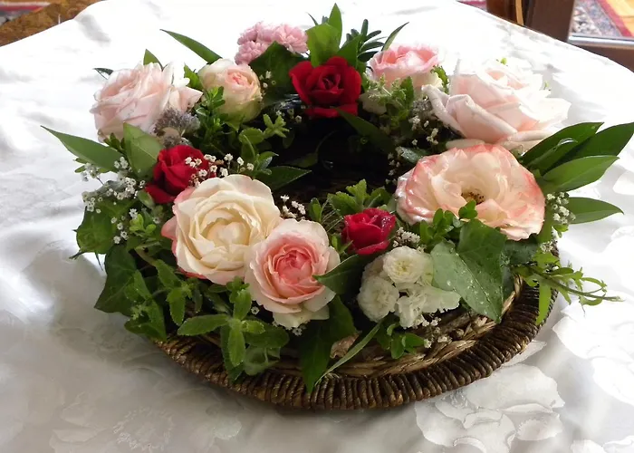 Internat Schloss Spiegelberg Bed & Breakfast